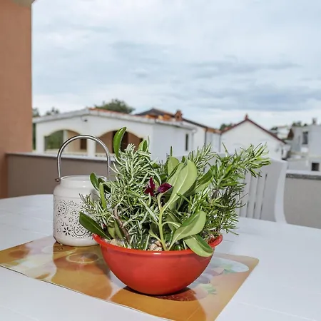 Simic 4 By Interhome Vir